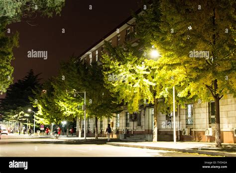 china agricultural university Stock Photo - Alamy