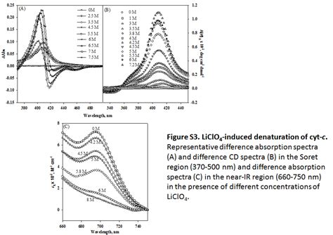 Heterogeneity Of Equilibrium Molten Globule State Of Cytochrome C