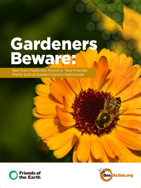 Gardeners Beware Report Bees Friends Of The Earth Copyright Aug 2013