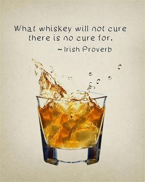 Pin By Autumn Jacunski On Whiskey And Such Whiskey Quotes Whisky