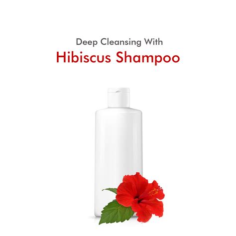 Best 5 Ways To Use Hibiscus Powder For Hair Growth Nattfru