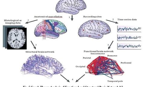 Figure 5 From Graph Based Brain Network Structure And Brain Mri Segmentation Techniques