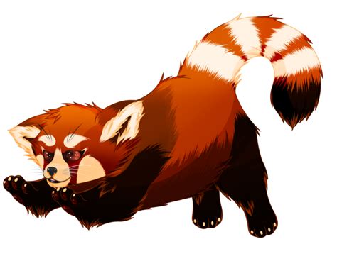 Red Panda By Lostintheflowoftime On Deviantart