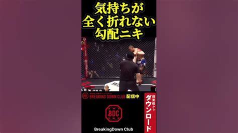 全く怯まない勾配ニキ事信原空 ブレイキングダウン 朝倉未来 朝倉海 ＃信原空 勾配ニキ 宮島 キックボクシング