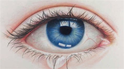 Drawing Realistic Eye Time Lapse Prismacolor Pencils Youtube