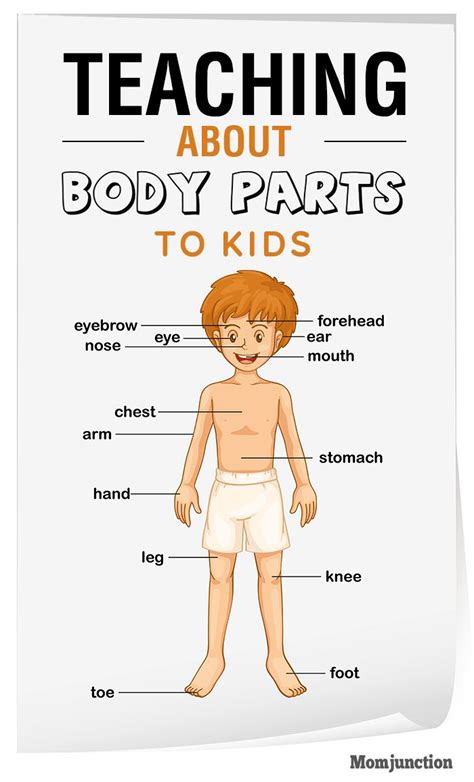 Teaching Body Parts To Children Body Parts For Kids Body Parts