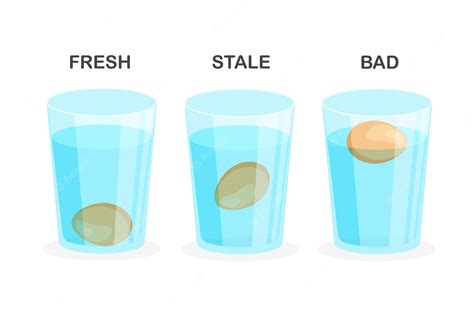 Premium Vector Egg Freshness Test Floating Vector Eggs In Glass Of Water