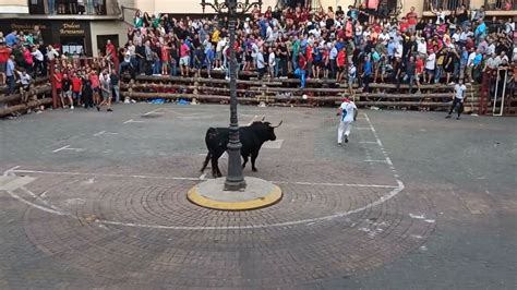 Toro Encajonado Elche De La Sierra 18 09 2022 YouTube