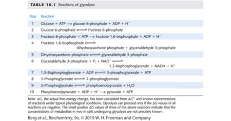 Biochem Midterm 3 Flashcards Quizlet