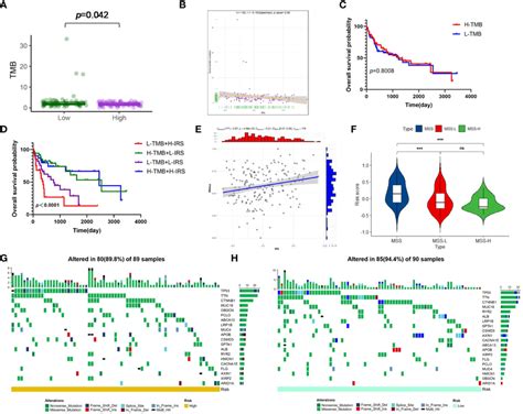 Risk Signature Based Tumor Mutation Burden Tmb Microsatellite Download Scientific Diagram