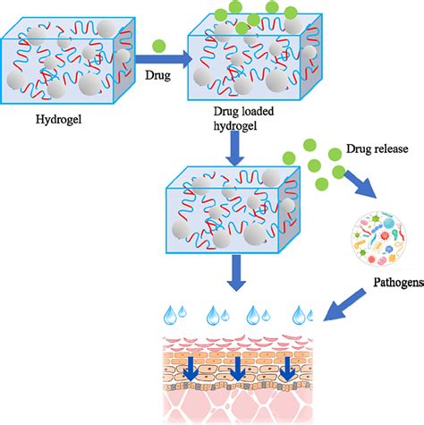 Medical Applications Of Hydrogels In Skin Infections Idr