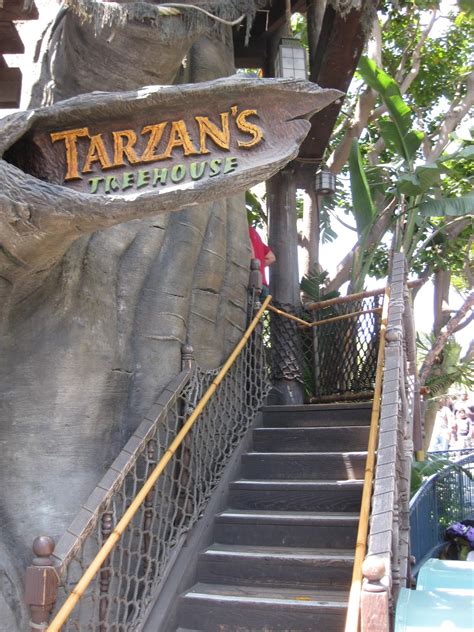 Tarzan S Treehouse At Disneyland Tips From The Magical Divas And Devos