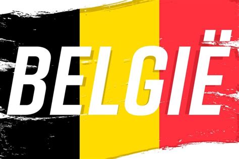 Premium Vector Flag Of Belgium Vector Illustration