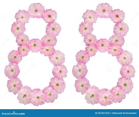 Numeral Ochenta Y Ocho De Flores Rosadas Naturales De Almendro