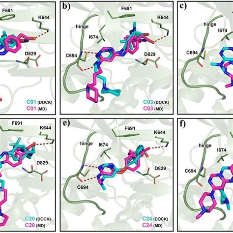 Average Md Pose Of The Ligand At The Active Site Of Flt The Last Ns