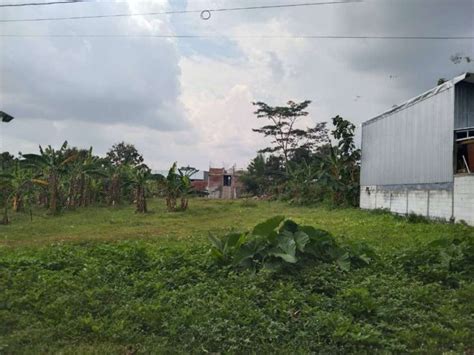 Jual Tanah Shm Siap Ajb Dekat Stadion Undip Tembalang