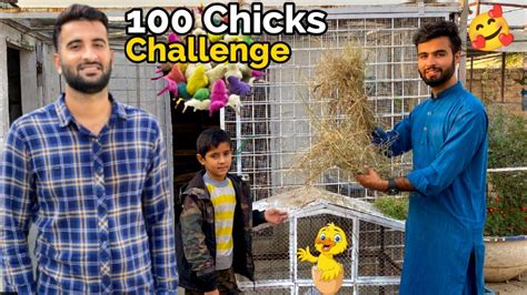 I Give 100 Chicks Challenge To Shehr Main Dehat🐥 But💔 Youtube