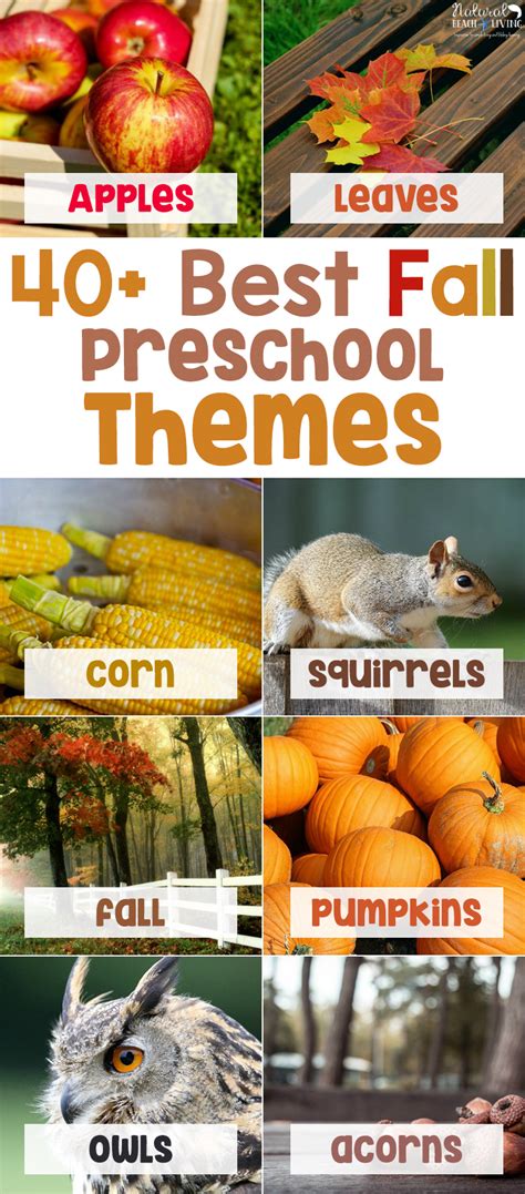 40+ Best Fall Preschool Themes and Activities - Natural Beach Living