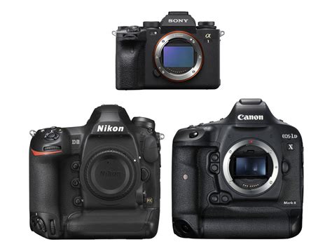 Sony A1 Vs Nikon D6 Vs Canon 1d X Mark Iii Photography Life