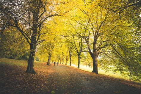 The most instagrammable spots in Leeds for Autumn - Visit Leeds