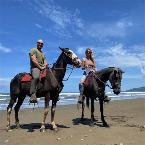 Disfrute De Las Cabalgatas Costa Rica Te Enamora