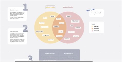 Circle Venn Diagram Mindmanager Mind Map Template Biggerplate