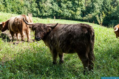 Jakobsweg Sterreich Etappe Maria Langegg Melk