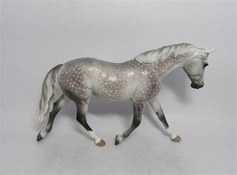 Gertie Ooak Star Dapple Rose Grey Palouse Model Horse By Sheryl Leis