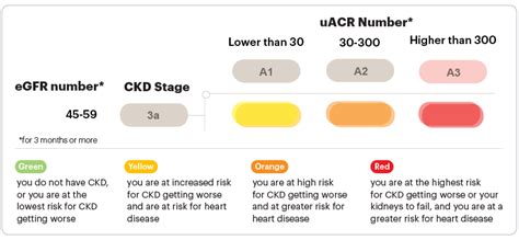 stage  chronic kidney disease ckd national kidney foundation