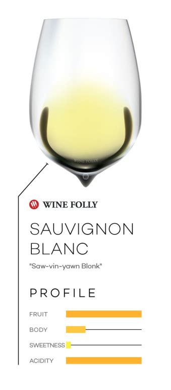 Enthusiast's Guide to Sauvignon Blanc | Wine Folly