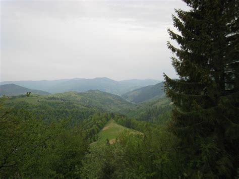 baza otdykha kamyanka prices lodge reviews mizhhirya ukraine