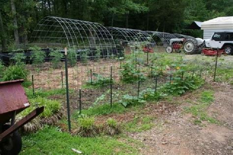 20 Best Ideas Of Easy Low Budget Diy Squash Arch Designs For Your Garden Arch Trellis