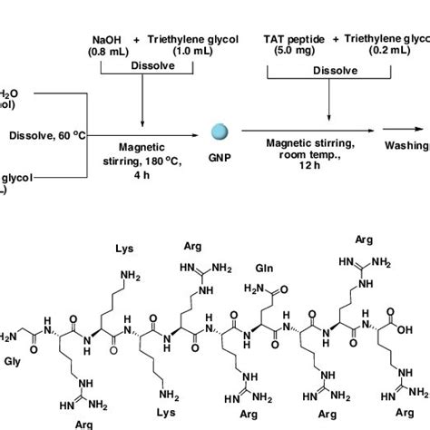 A One Pot Synthesis Of Tat Gnp B Tat Peptide Structure Nh Download Scientific Diagram