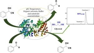 A Study On Increasing Enzymatic Stability And Activity Of Baliospermum