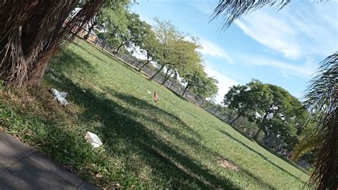 Praça Darcy Azambuja - 103 avaliações sobre Campo de Futebol Praça Darcy Azambuja (Campo de ...