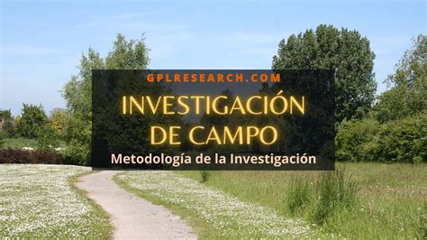 InvestigaciÓn De Campo Qué Es Y Ejemplos