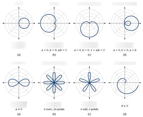 Types Of Polar Graphs Diagram Quizlet