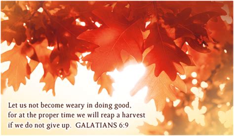 Free Galatians 6:9 eCard - eMail Free Personalized Scripture Cards Online