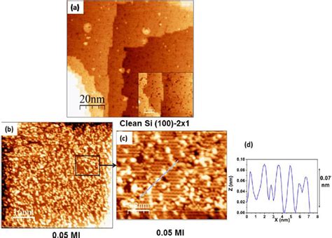 a 100 Â 100 nm 2 empty state STM image of the reconstructed Si 100 2