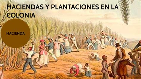 Haciendas Y Plantaciones En La Colonia By Jimena Barrera On Prezi