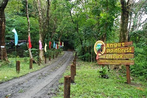 Travel Central Philippines Introducing Angat Rainforest And Eco Park