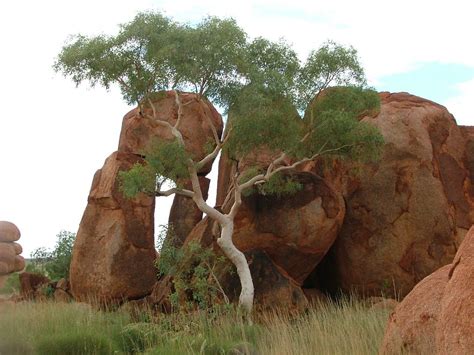 Solve The Devil S Marbles Northern Territory Jigsaw Puzzle Online