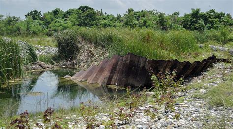 Impacto Ambiental Tipos Causas Y Soluciones