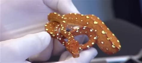 226 Best Border Security Images On Pholder Military Porn GOP And White House