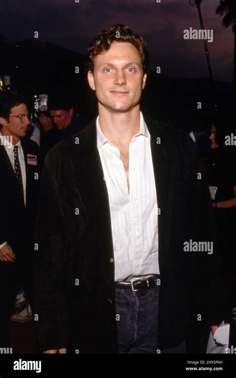 Tony Goldwyn At The Wild At Heart Universal City Premiere On August