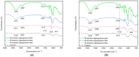 Functional Group Analysis Ramie Fibers After Impregnation A