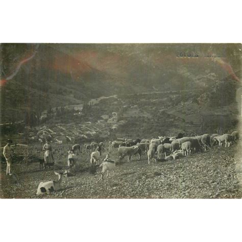 07 POYOLS Photo cpa éleveurs avec troupeau de Moutons et Chèvres 1908