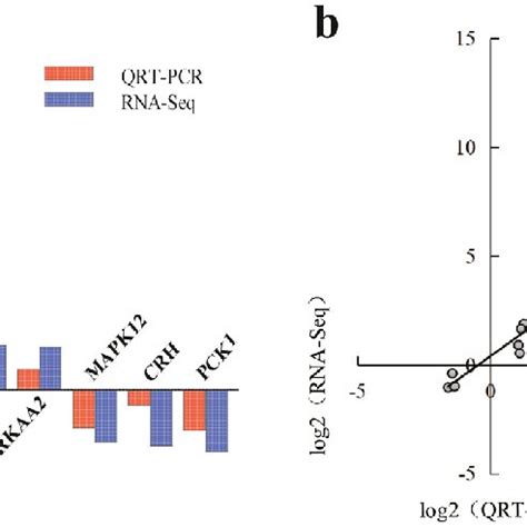 Validation Of Selected DEGs By QRT PCR A Comparison Of MRNA