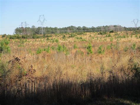 81.35 acres in Prince George County, Virginia