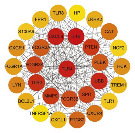 Ppi Network Analysis A Ppi Network Of The Degs This Figure Shows Download Scientific